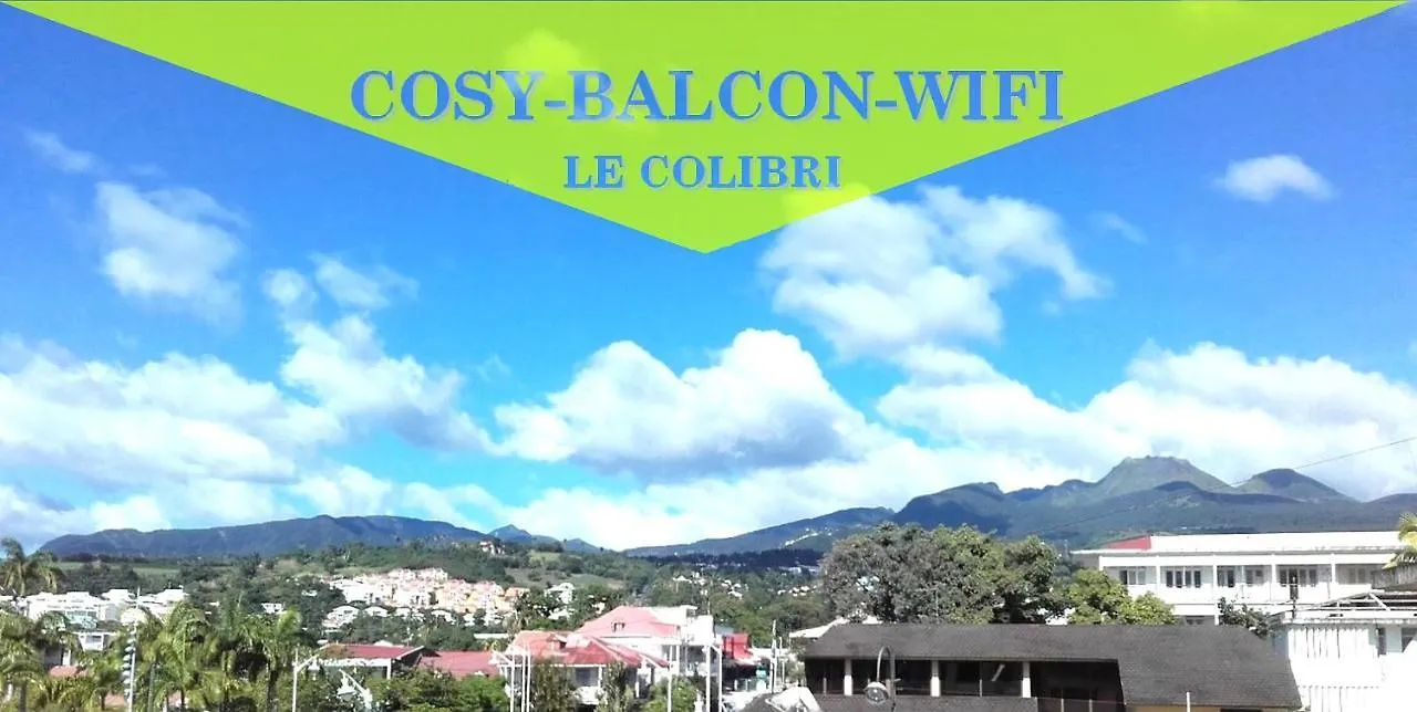 Le Colibri, Vue Exceptionnelle Sur La Soufriere Apartman Basse-Terre Guadeloupe
