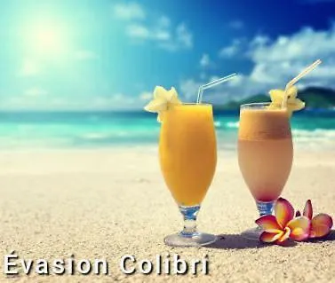 Le Colibri, Vue Exceptionnelle Sur La Soufriere Apartman Basse-Terre Guadeloupe