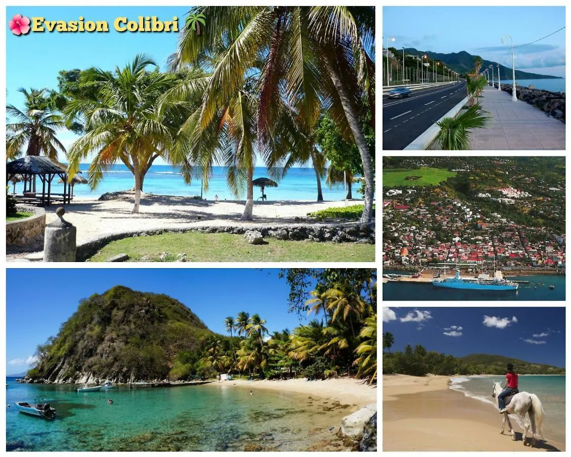 Le Colibri, Vue Exceptionnelle Sur La Soufriere Apartman Basse-Terre